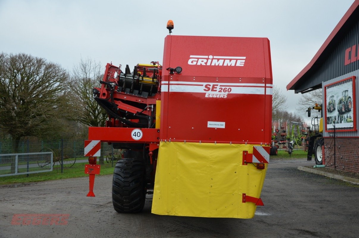 Kartoffelroder typu Grimme SE 260 UB, Gebrauchtmaschine v Suhlendorf (Obrázek 4)