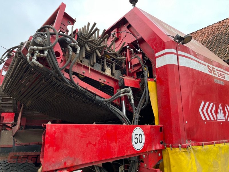 Kartoffelroder del tipo Grimme SE 260 UB, Gebrauchtmaschine In Suhlendorf (Immagine 11)