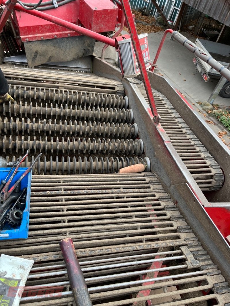 Kartoffelroder of the type Grimme SE 260 UB, Gebrauchtmaschine in Suhlendorf (Picture 16)