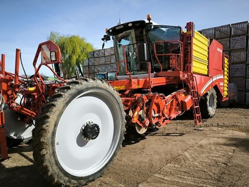 Kartoffelroder typu Grimme Varitron 470, Gebrauchtmaschine w MARLENHEIM (Zdjęcie 6)