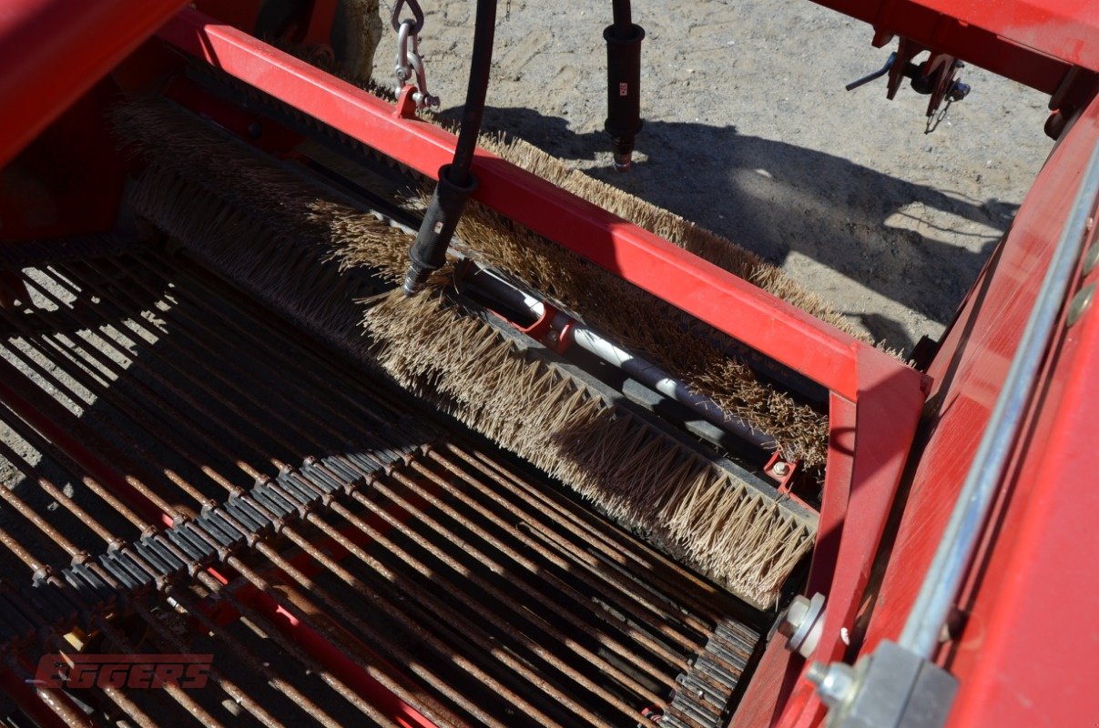 Kartoffelroder typu Grimme WV 140, Gebrauchtmaschine v Suhlendorf (Obrázek 5)