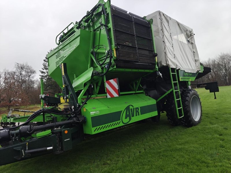 Kartoffelvollernter van het type AVR SPIRIT 9200, Gebrauchtmaschine in Bording (Foto 1)