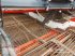 Kartoffelvollernter typu Dewulf Kwatro, Gebrauchtmaschine v York (Obrázek 20)