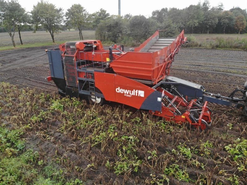 Kartoffelvollernter des Typs Dewulf RQA2060, Gebrauchtmaschine in Horsens (Bild 1)