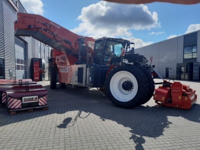 Kartoffelvollernter van het type Dewulf RQA3060 Demomaskine, Gebrauchtmaschine in Horsens (Foto 3)