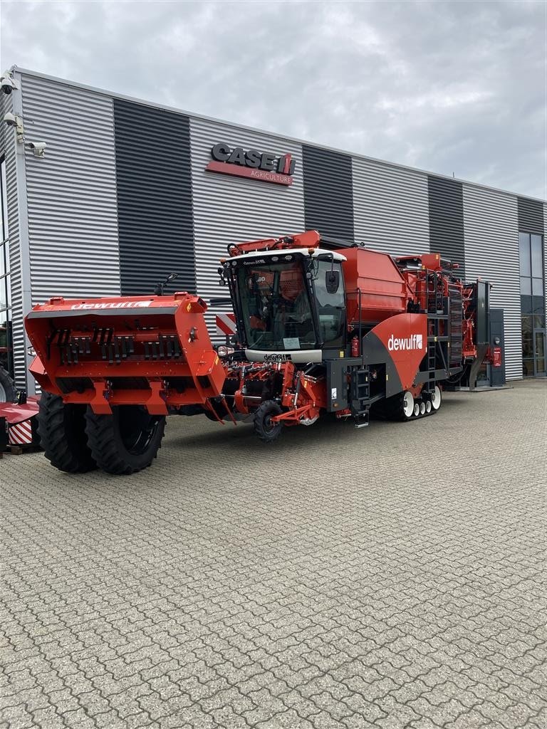 Kartoffelvollernter van het type Dewulf RQA3060 Topkæde, HD Bagaksel, Tracks, Axialruller, Gebrauchtmaschine in Horsens (Foto 1)