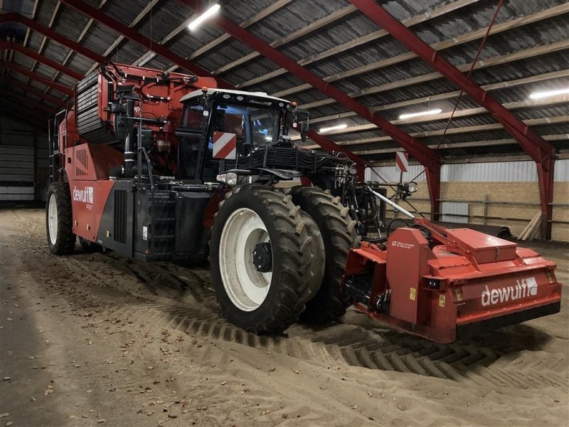 Kartoffelvollernter del tipo Dewulf RQA3060 Topkæde, HD Bagaksel, Tracks, Easyclean Rensemodul, Kassefylder, Gebrauchtmaschine In Horsens (Immagine 1)