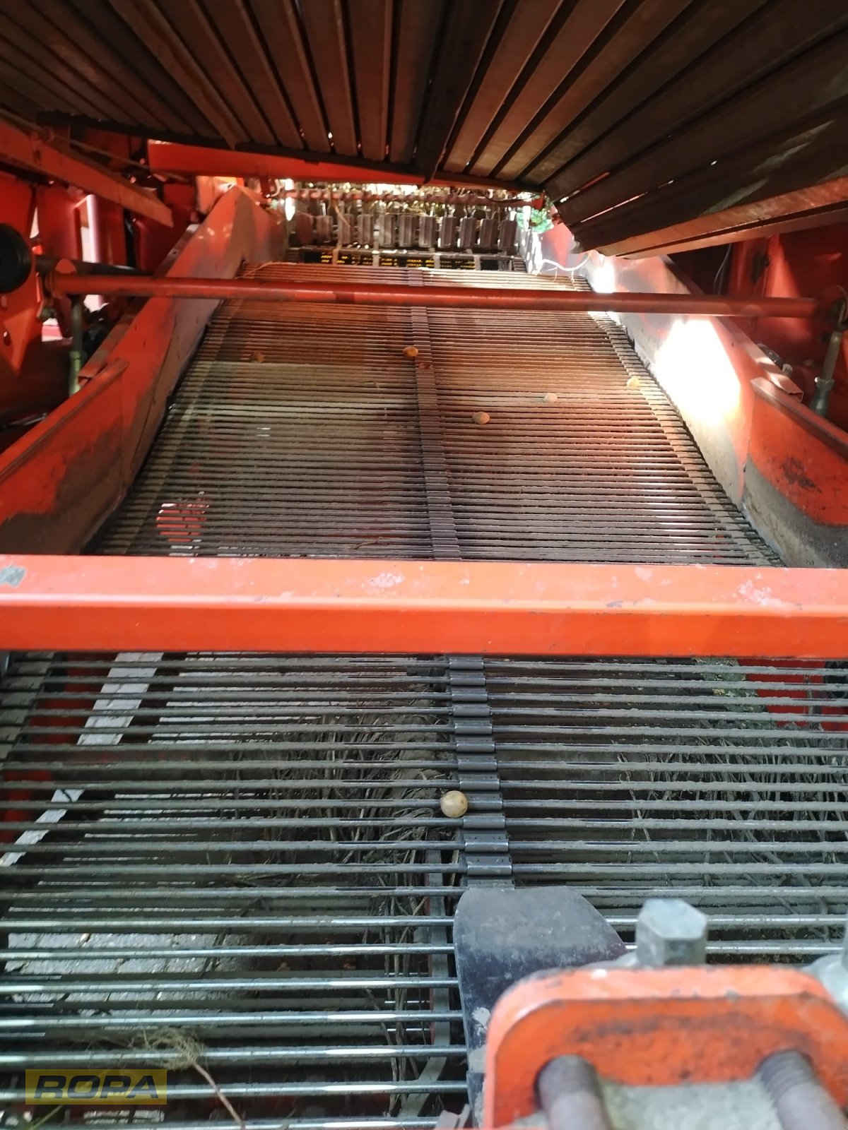 Kartoffelvollernter del tipo Grimme DR 1500, Gebrauchtmaschine en Viersen (Imagen 10)