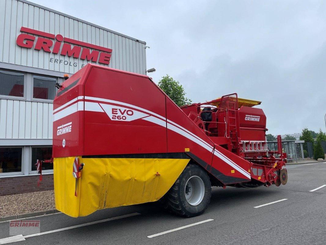 Kartoffelvollernter des Typs Grimme EVO 260 ClodSep, Gebrauchtmaschine in Damme (Bild 5)