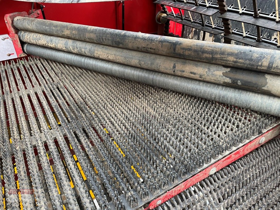 Kartoffelvollernter van het type Grimme EVO 260 ClodSep, Gebrauchtmaschine in Damme (Foto 15)