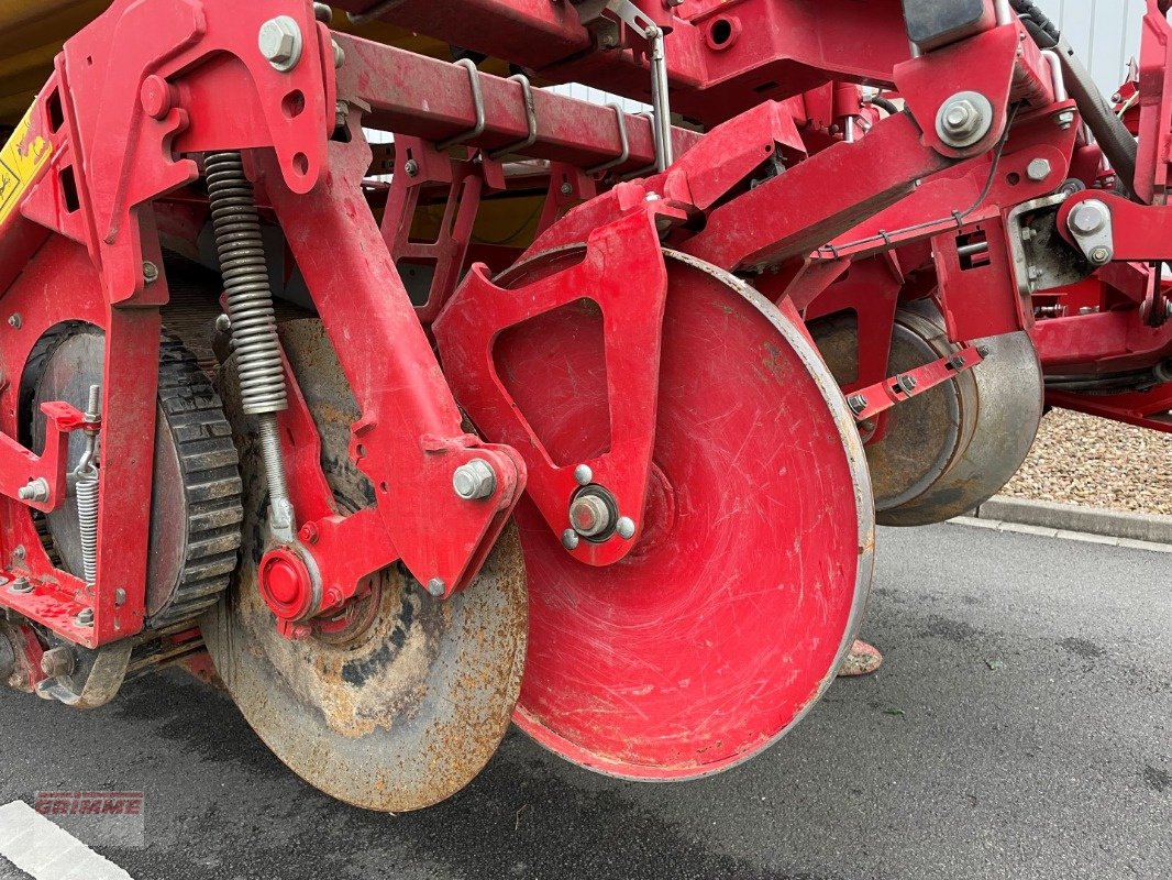 Kartoffelvollernter del tipo Grimme EVO 280 ClodSep mit Triebachse, Gebrauchtmaschine en Damme (Imagen 7)