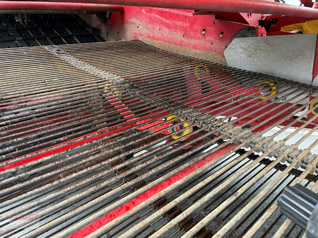 Kartoffelvollernter of the type Grimme EVO 280 ClodSep mit Triebachse, Gebrauchtmaschine in Damme (Picture 11)