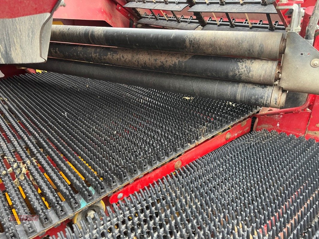 Kartoffelvollernter of the type Grimme EVO 280 ClodSep mit Triebachse, Gebrauchtmaschine in Damme (Picture 17)