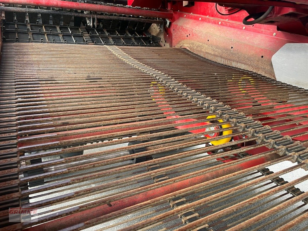 Kartoffelvollernter tip Grimme EVO 280 ClodSep, Gebrauchtmaschine in Damme (Poză 13)