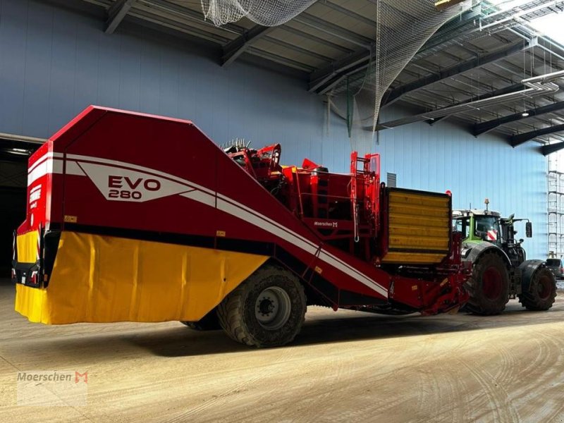 Kartoffelvollernter of the type Grimme Evo 280 ClodSep, Gebrauchtmaschine in Tönisvorst