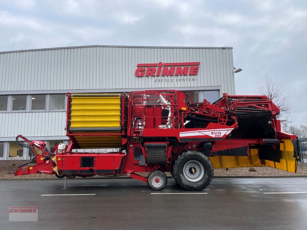 Kartoffelvollernter of the type Grimme EVO 280 EasySep, Gebrauchtmaschine in Damme (Picture 2)