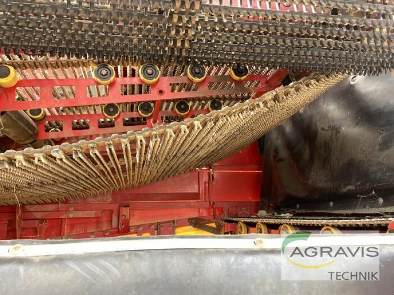 Kartoffelvollernter van het type Grimme EVO 280 UB, Gebrauchtmaschine in Alpen (Foto 23)