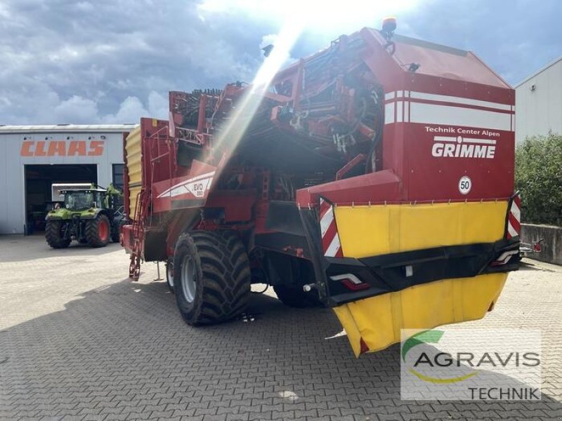 Kartoffelvollernter des Typs Grimme EVO 280 UB, Gebrauchtmaschine in Alpen (Bild 3)