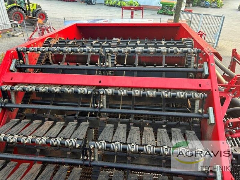 Kartoffelvollernter del tipo Grimme EVO 280, Gebrauchtmaschine en Meppen (Imagen 14)