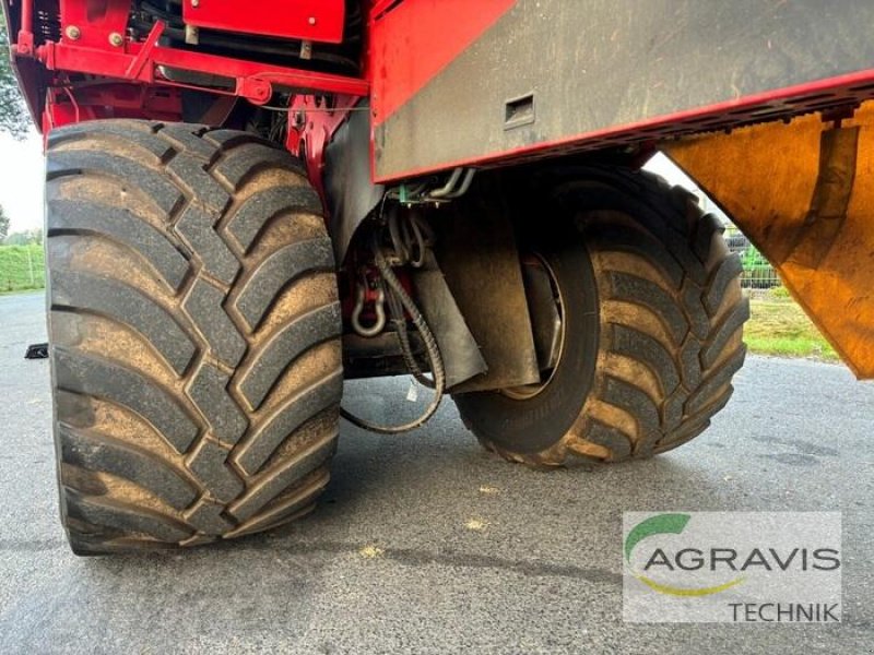 Kartoffelvollernter of the type Grimme EVO 280, Gebrauchtmaschine in Meppen (Picture 18)