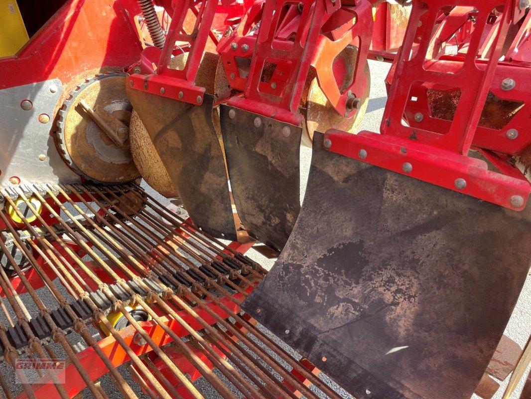 Kartoffelvollernter of the type Grimme EVO 280, Gebrauchtmaschine in Damme (Picture 13)