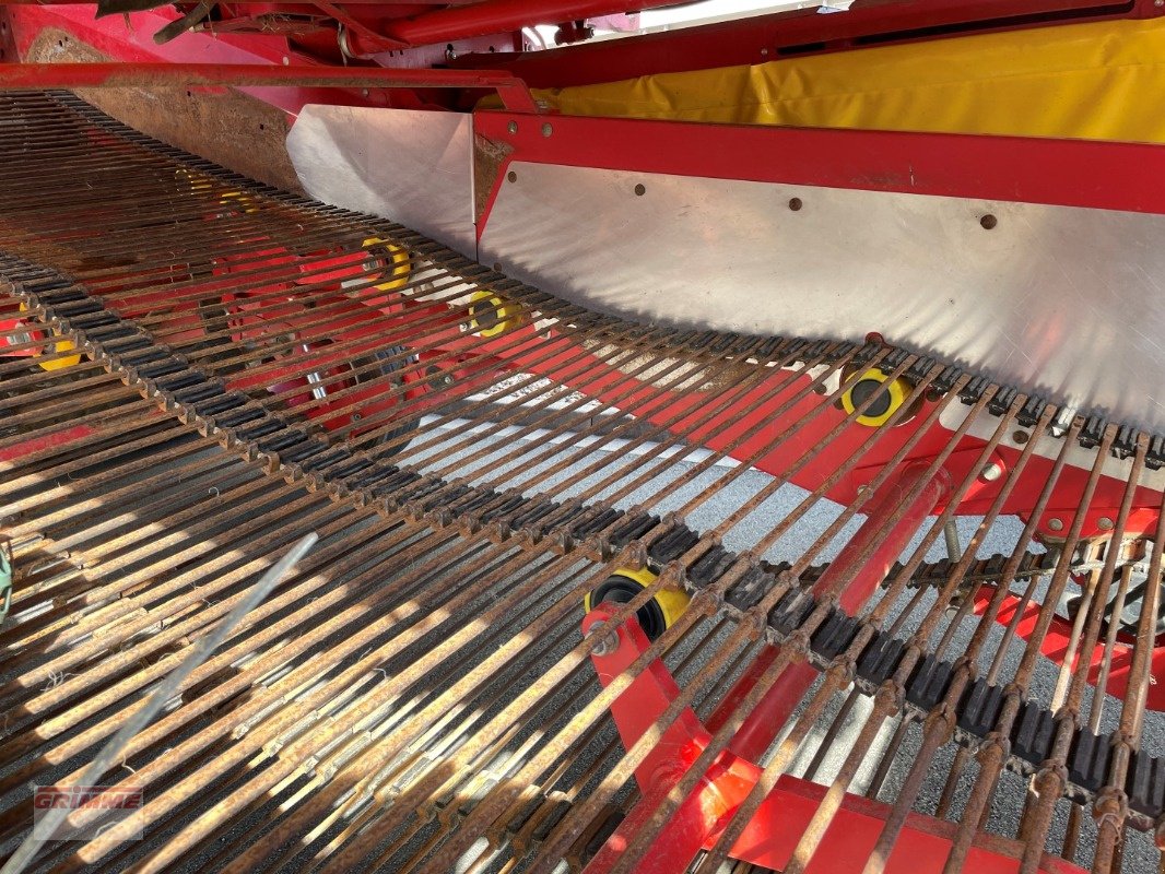 Kartoffelvollernter van het type Grimme EVO 280, Gebrauchtmaschine in Damme (Foto 14)