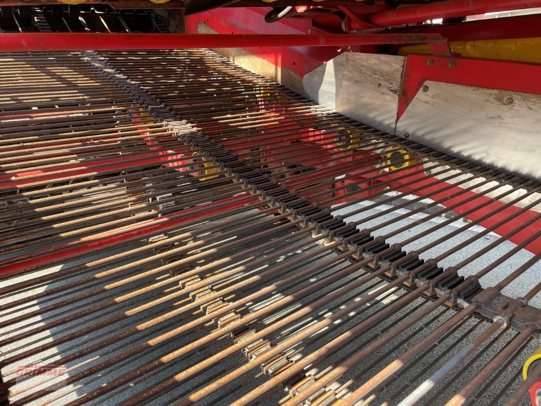 Kartoffelvollernter du type Grimme EVO 280, Gebrauchtmaschine en Damme (Photo 14)