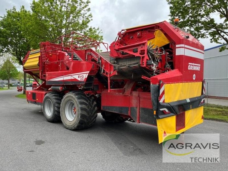 Kartoffelvollernter des Typs Grimme EVO 290 AIR SEP UB, Gebrauchtmaschine in Meppen (Bild 4)