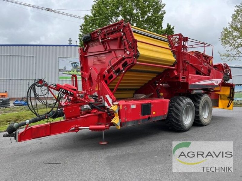 Kartoffelvollernter des Typs Grimme EVO 290 AIR SEP UB, Gebrauchtmaschine in Meppen (Bild 1)