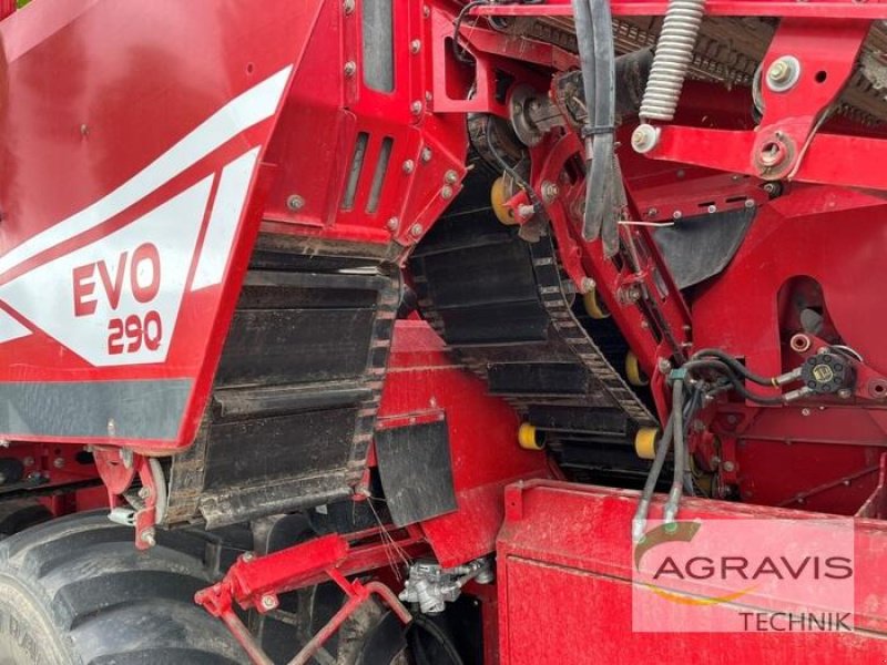 Kartoffelvollernter del tipo Grimme EVO 290 AIR SEP UB, Gebrauchtmaschine In Meppen (Immagine 8)