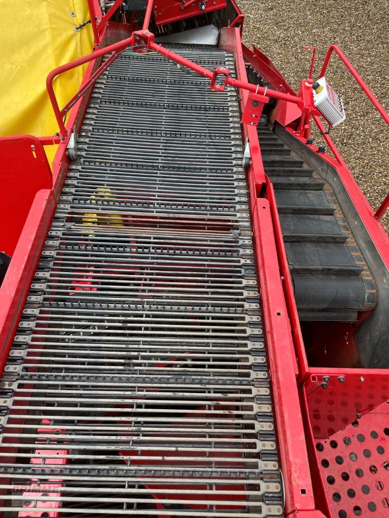 Kartoffelvollernter of the type Grimme EVO 290 AirSep, Gebrauchtmaschine in Damme (Picture 22)