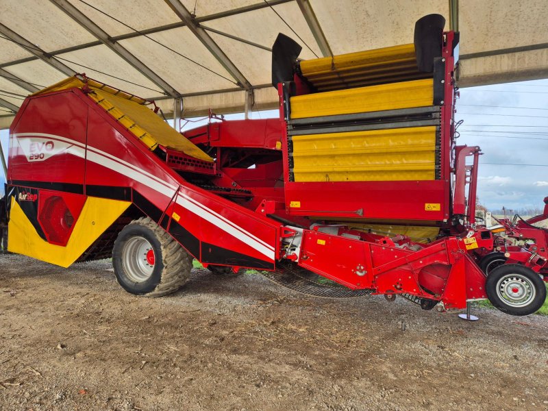 Kartoffelvollernter tip Grimme EVO 290 AirSep, Gebrauchtmaschine in Naklo