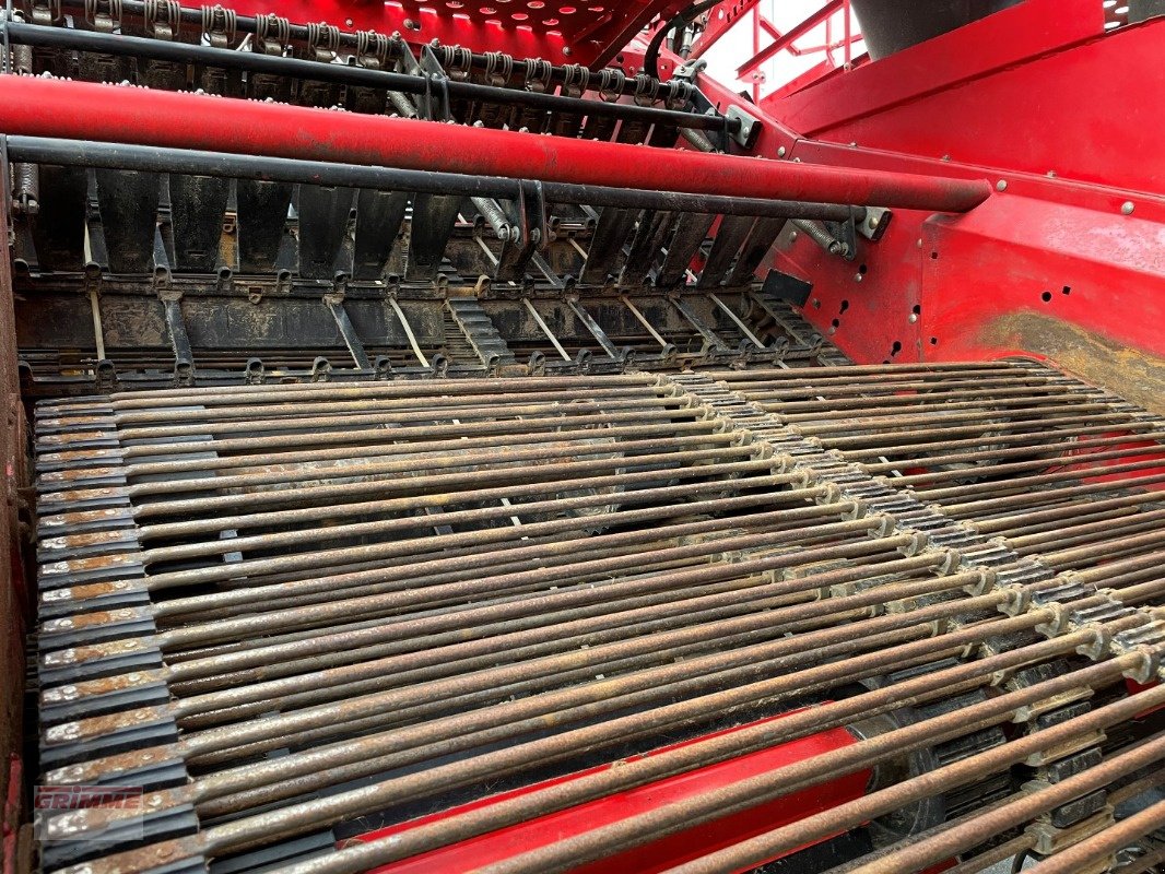 Kartoffelvollernter tipa Grimme EVO 290 EasySep, Gebrauchtmaschine u Damme (Slika 16)