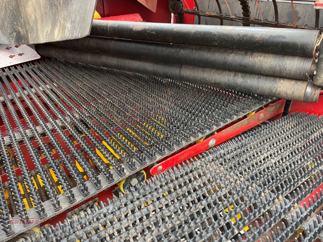 Kartoffelvollernter tip Grimme EVO 290 EasySep, Gebrauchtmaschine in Damme (Poză 20)