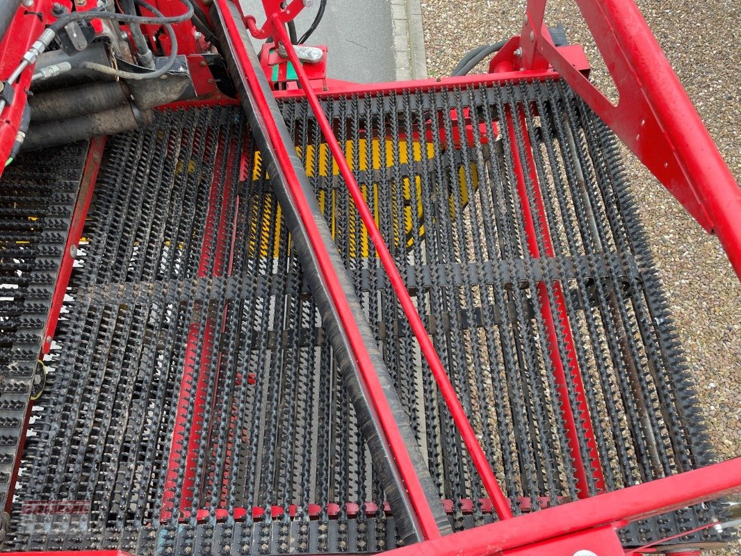 Kartoffelvollernter of the type Grimme EVO 290 EasySep, Gebrauchtmaschine in Damme (Picture 21)