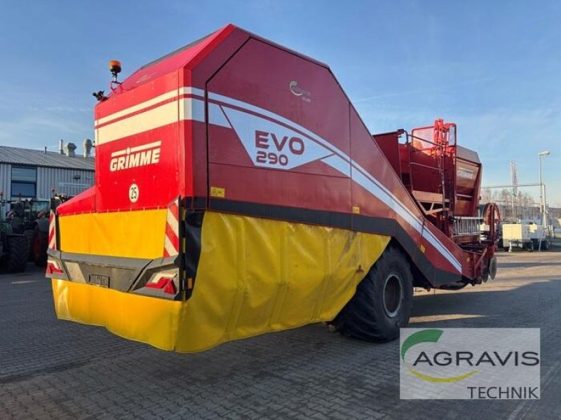 Kartoffelvollernter des Typs Grimme EVO 290, Gebrauchtmaschine in Meppen (Bild 3)