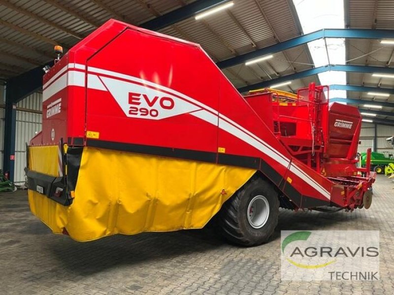 Kartoffelvollernter des Typs Grimme EVO 290, Gebrauchtmaschine in Meppen (Bild 3)