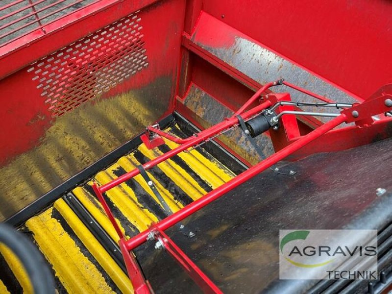 Kartoffelvollernter des Typs Grimme EVO 290, Gebrauchtmaschine in Meppen (Bild 24)