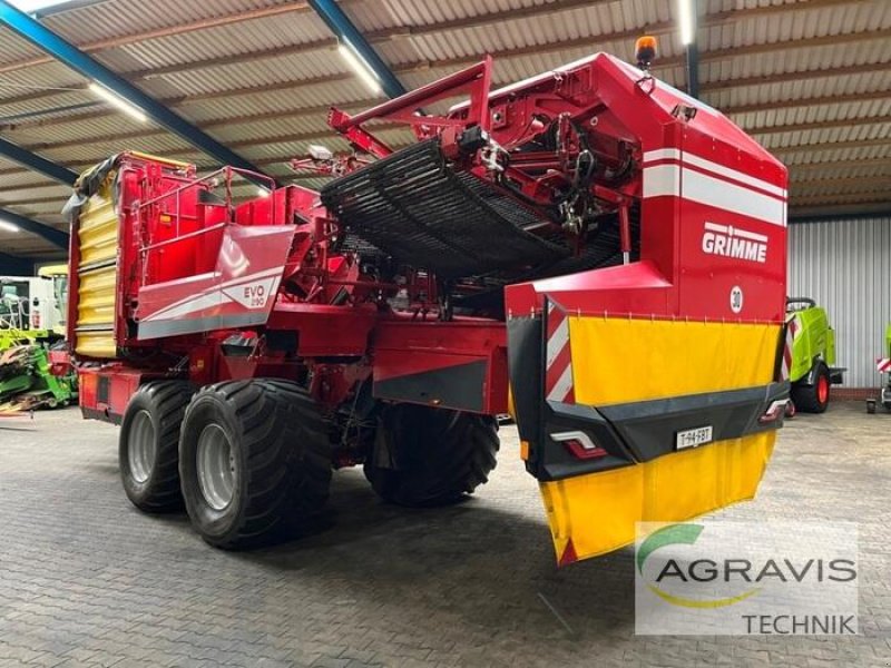 Kartoffelvollernter des Typs Grimme EVO 290, Gebrauchtmaschine in Meppen (Bild 4)