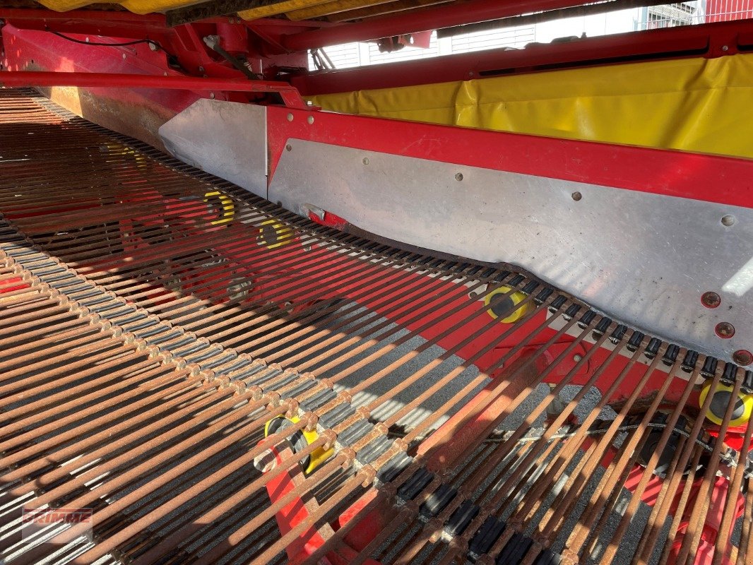 Kartoffelvollernter van het type Grimme EVO 290, Gebrauchtmaschine in Damme (Foto 12)