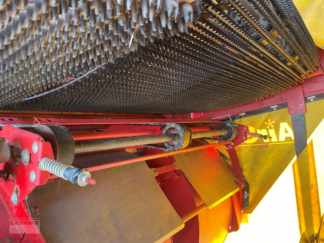 Kartoffelvollernter van het type Grimme EVO 290, Gebrauchtmaschine in Damme (Foto 15)