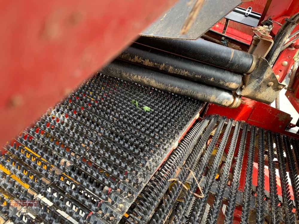 Kartoffelvollernter van het type Grimme EVO 290, Gebrauchtmaschine in Roeselare (Foto 20)