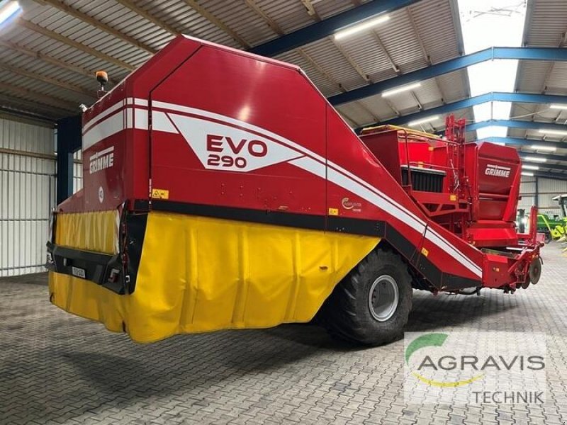 Kartoffelvollernter типа Grimme EVO 290, Gebrauchtmaschine в Meppen-Versen (Фотография 3)