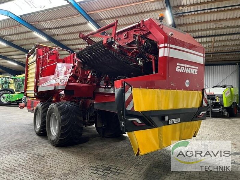 Kartoffelvollernter типа Grimme EVO 290, Gebrauchtmaschine в Meppen-Versen (Фотография 4)