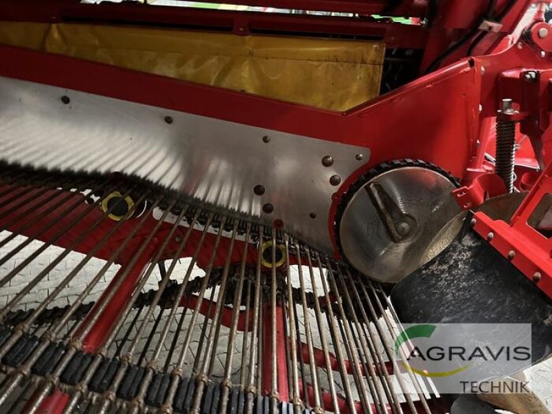 Kartoffelvollernter tipa Grimme EVO 290, Gebrauchtmaschine u Meppen-Versen (Slika 14)