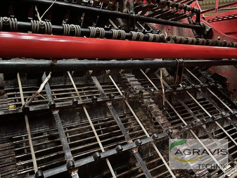 Kartoffelvollernter of the type Grimme EVO 290, Gebrauchtmaschine in Meppen-Versen (Picture 16)