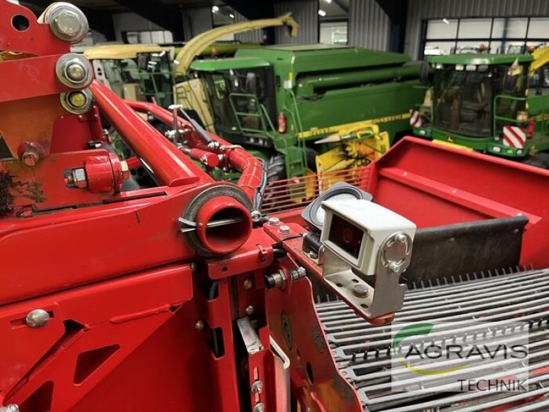 Kartoffelvollernter of the type Grimme EVO 290, Gebrauchtmaschine in Meppen-Versen (Picture 22)