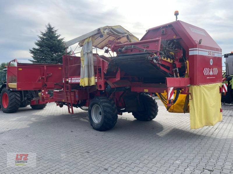 Kartoffelvollernter typu Grimme GEBR. SE 260 KARTOFFELRODER, Gebrauchtmaschine v Hartmannsdorf (Obrázok 5)