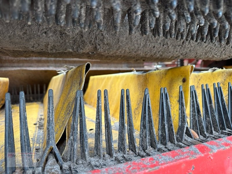 Kartoffelvollernter a típus Grimme GT 170 S Überlade Kartoffelroder, Gebrauchtmaschine ekkor: Neubrandenburg (Kép 16)