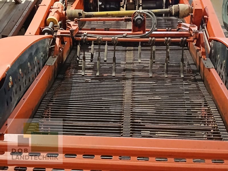 Kartoffelvollernter van het type Grimme GZ 1700 DLS, Gebrauchtmaschine in Regensburg (Foto 1)